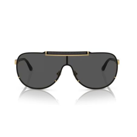Solaire VE2140 de Versace