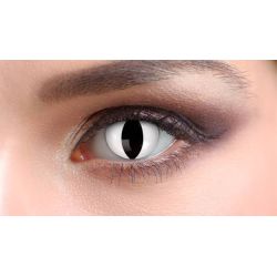 Lentille Halloween effet oeil de chat blanc sans correction.