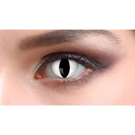 Lentille Halloween effet oeil de chat blanc sans correction.