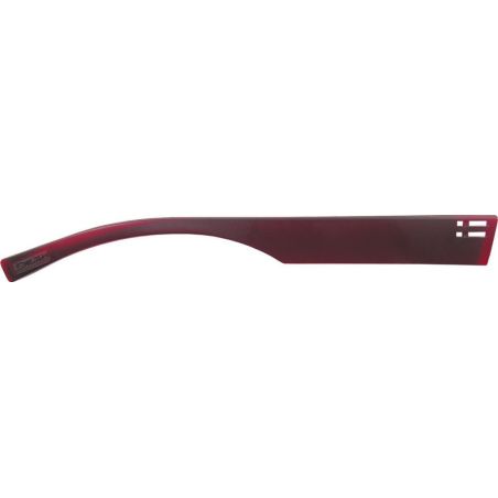 Branches DILEM ZCS 021 pour lunettes