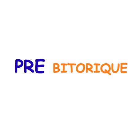 PRE Bitorique de Precilens | Lentilles rigides | LPO Clair Optic